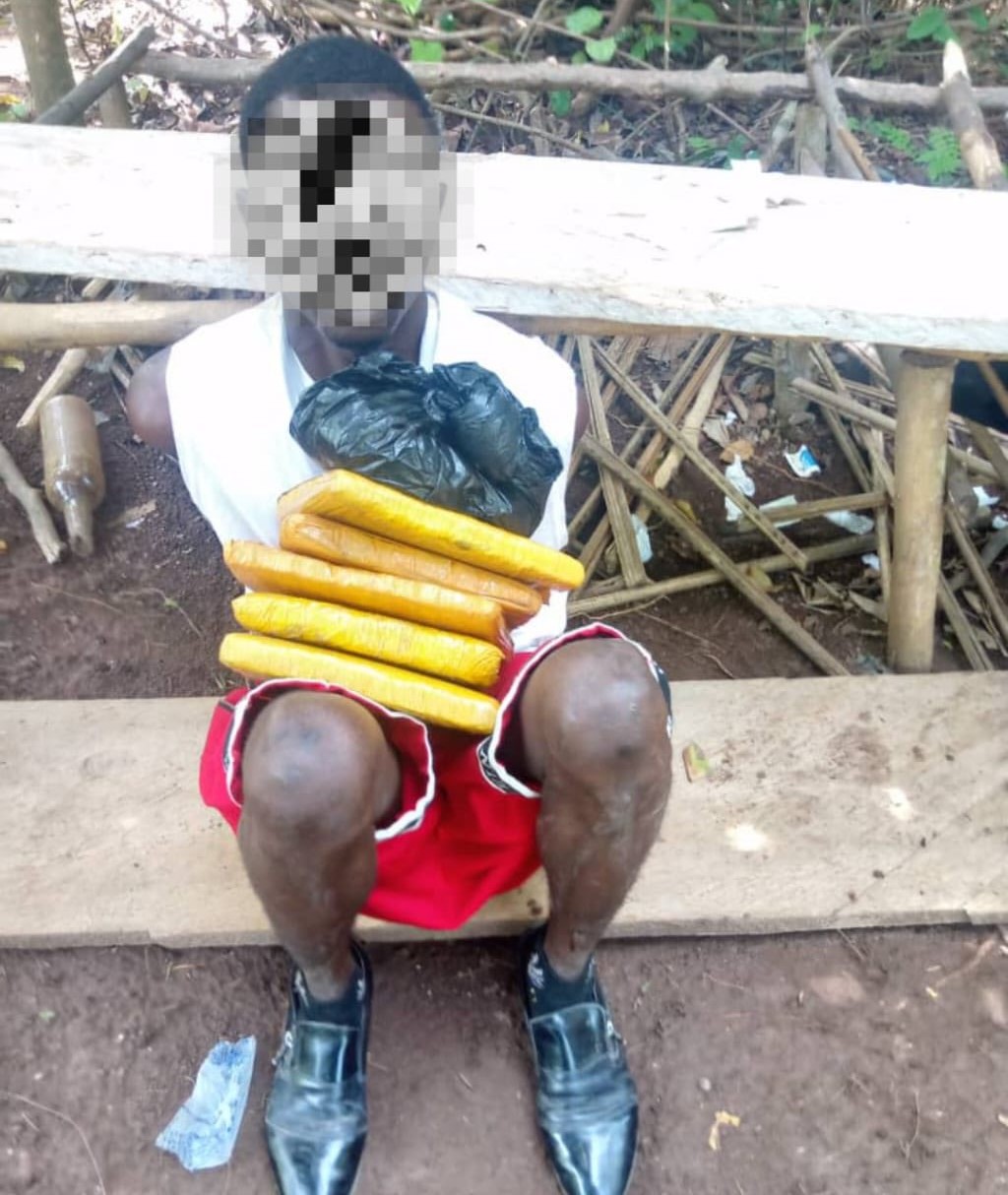 Daloa | Lutte contre la drogue :