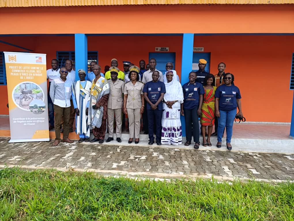 Commerce illégal des ânes :