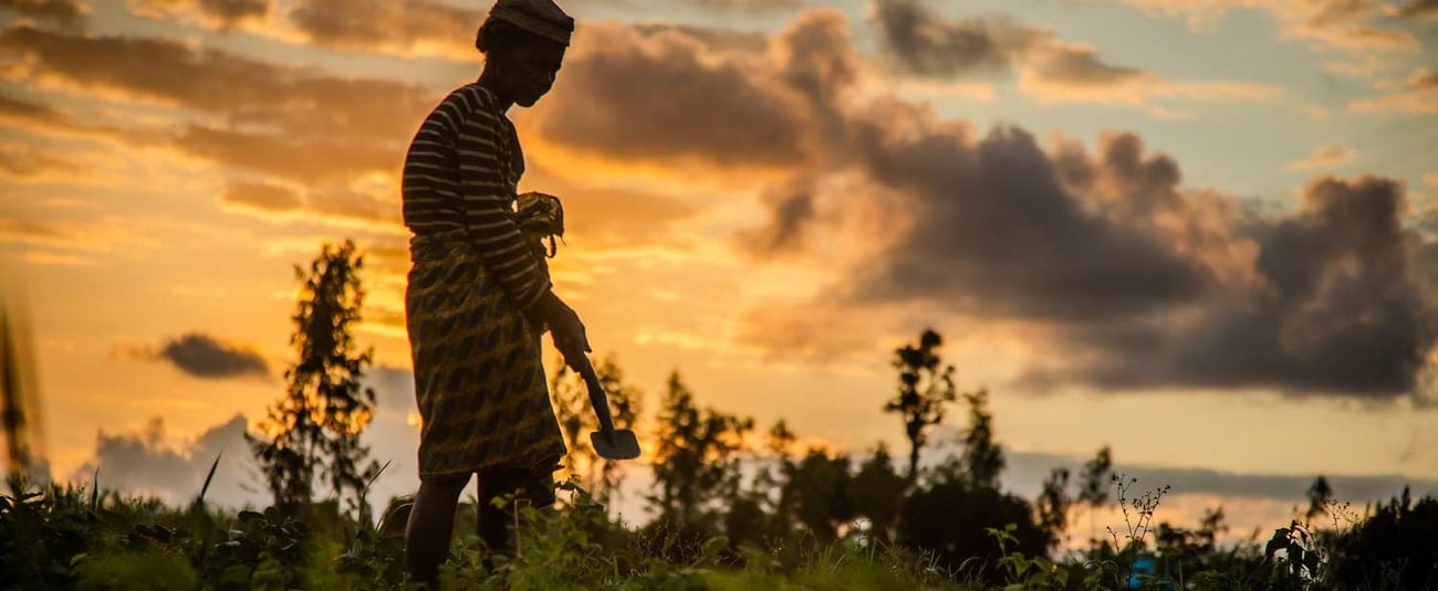 Afrique| African Risk Capacity