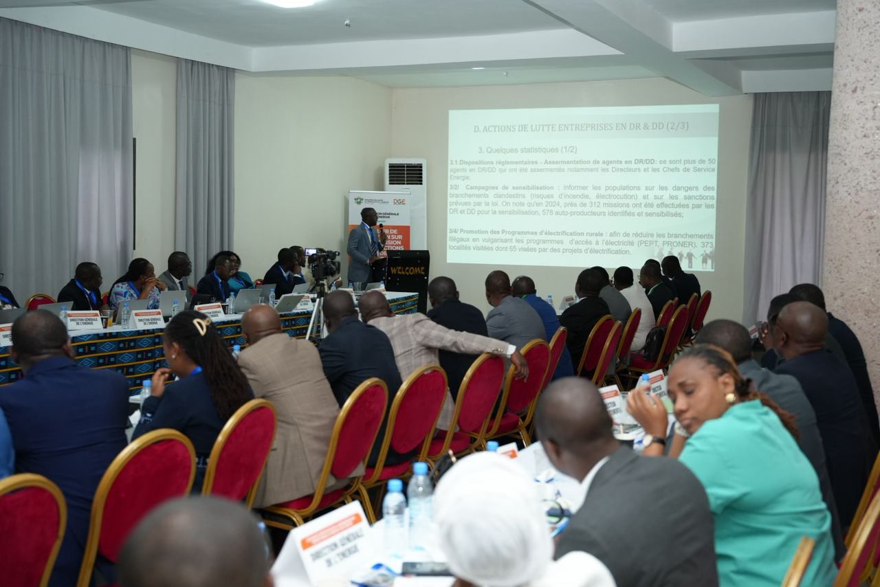 Mine et énergie | Fraudes électriques et orpaillage illégal