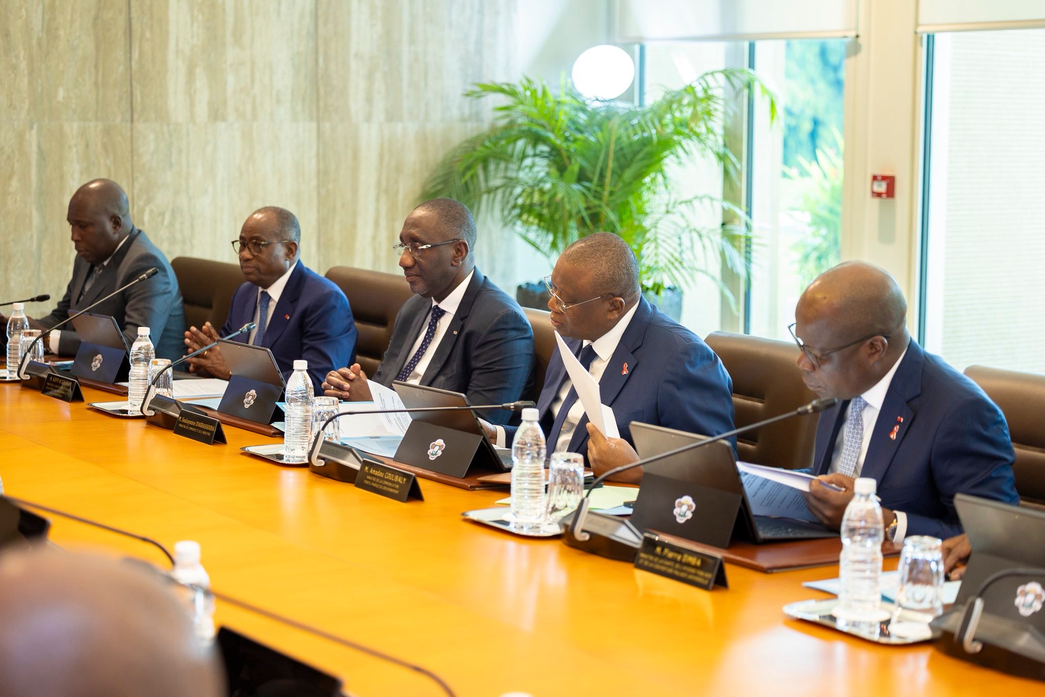 San Pedro | Industrie du bois