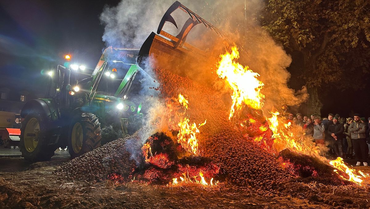 Bruxelles | Secteur agricole