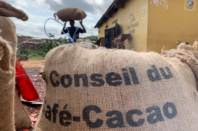 Dossier-Agriculture | Filière cacao