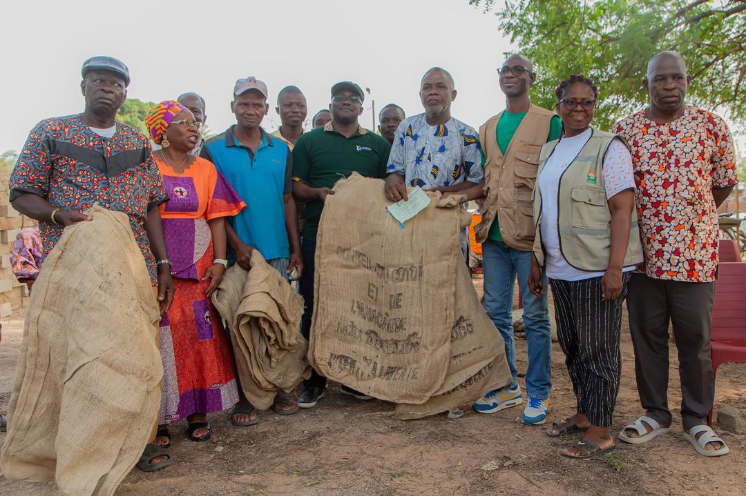 Côte d’Ivoire | Agriculture-Filière anacarde