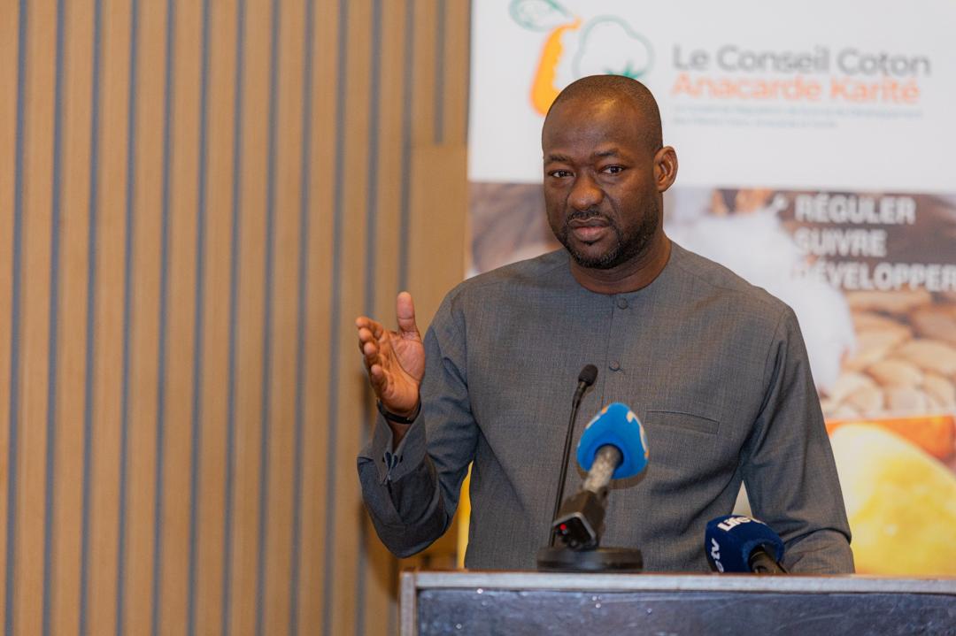 Côte d’Ivoire | Filière anacarde