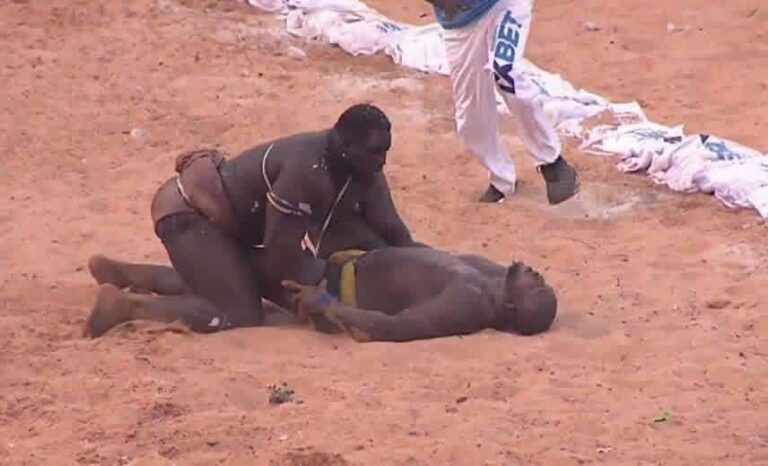 Sénégal | Lutte traditionnelle