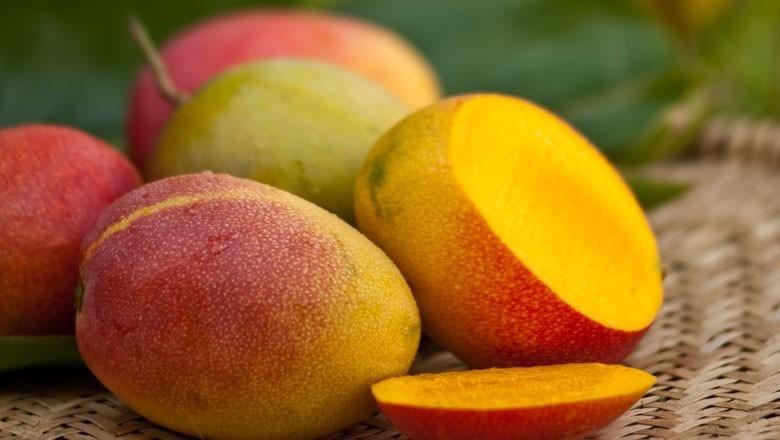 Côte d’Ivoire | Dossier - Filière mangue