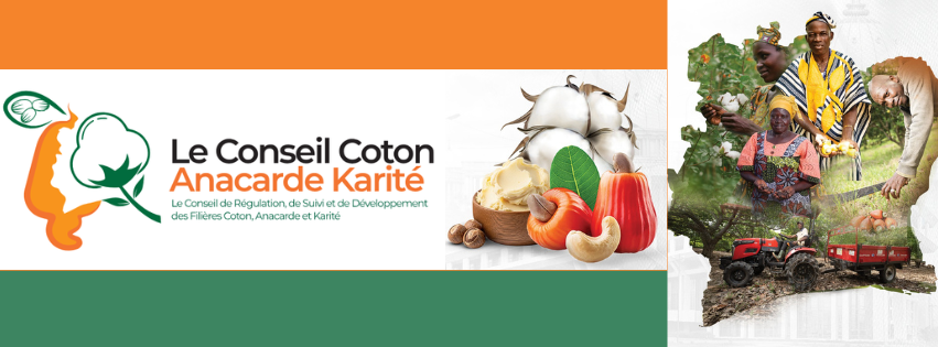 Côte d’Ivoire | Agriculture-filière Karité