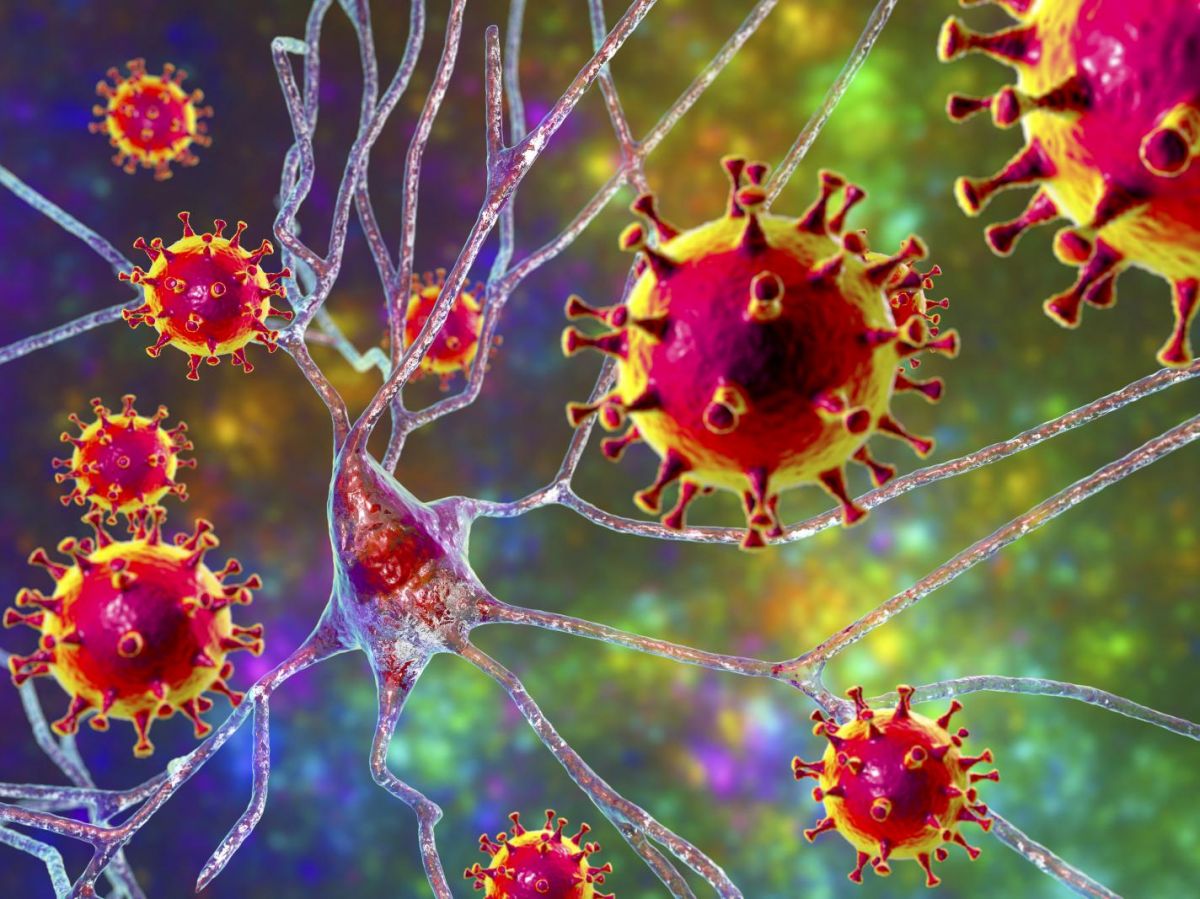 Dossier (partie 2) | Santé-Couverture maladie universelle