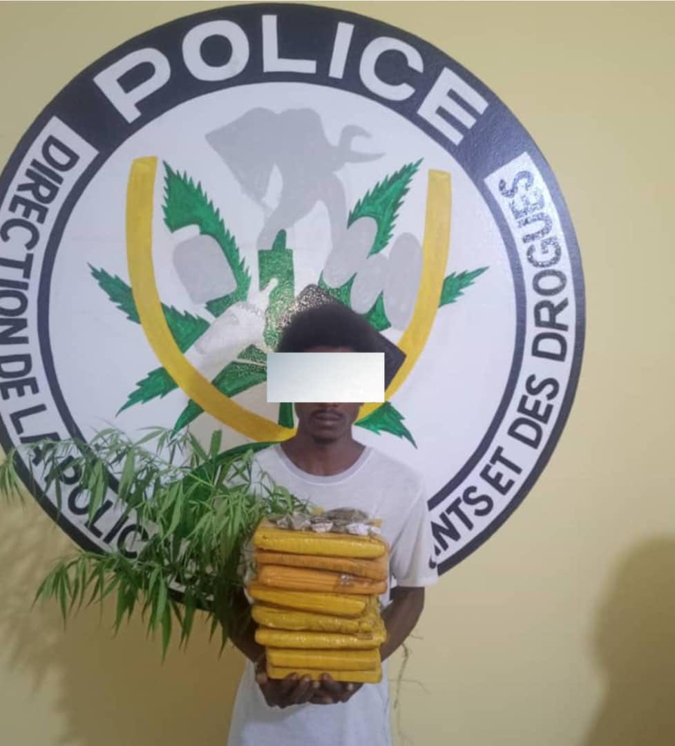 Opération épervier | Trafic de stupéfiants