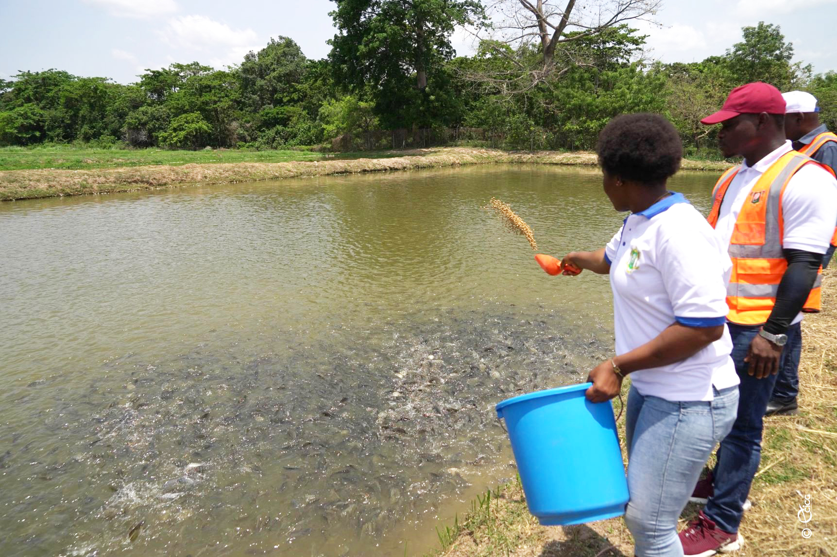 Dossier | Ressources halieutiques en Côte d’Ivoire