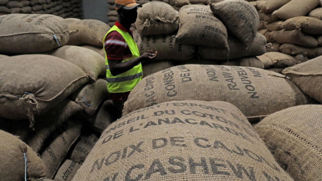Côte d’Ivoire | Filière anacarde