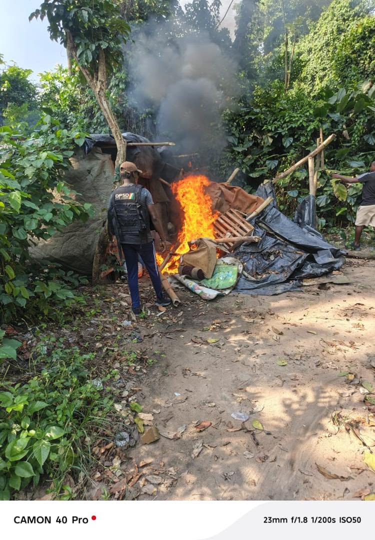 Côte d’Ivoire | Trafic de stupéfiants et chichas