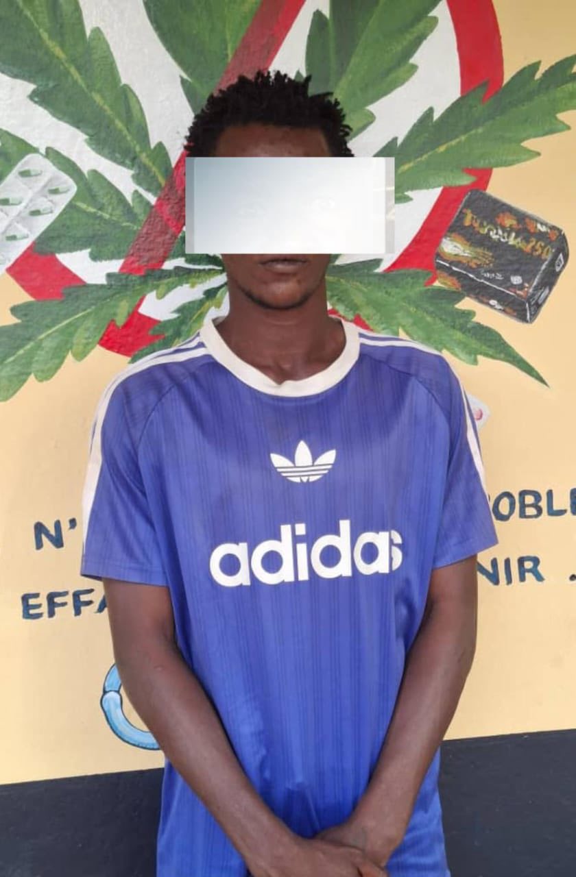 Côte d’Ivoire | Lutte contre le trafic de stupéfiants