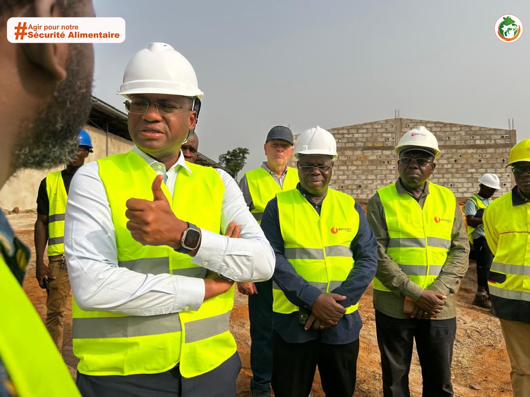 Côte d’Ivoire | Filière avicole