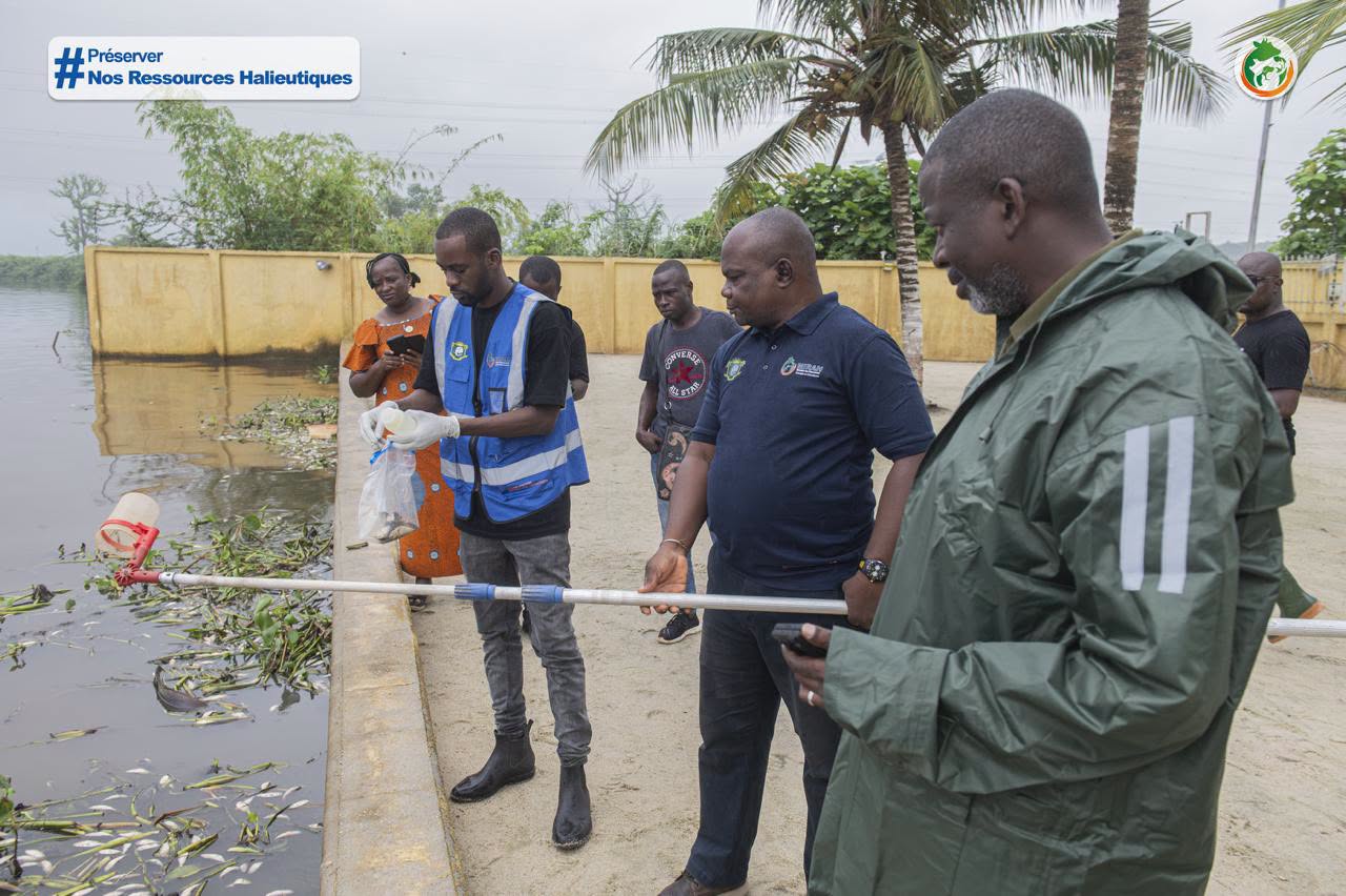 Côte d’Ivoire | Mortalité massive de poissons